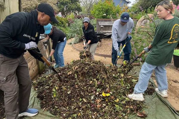 people shoveling compost