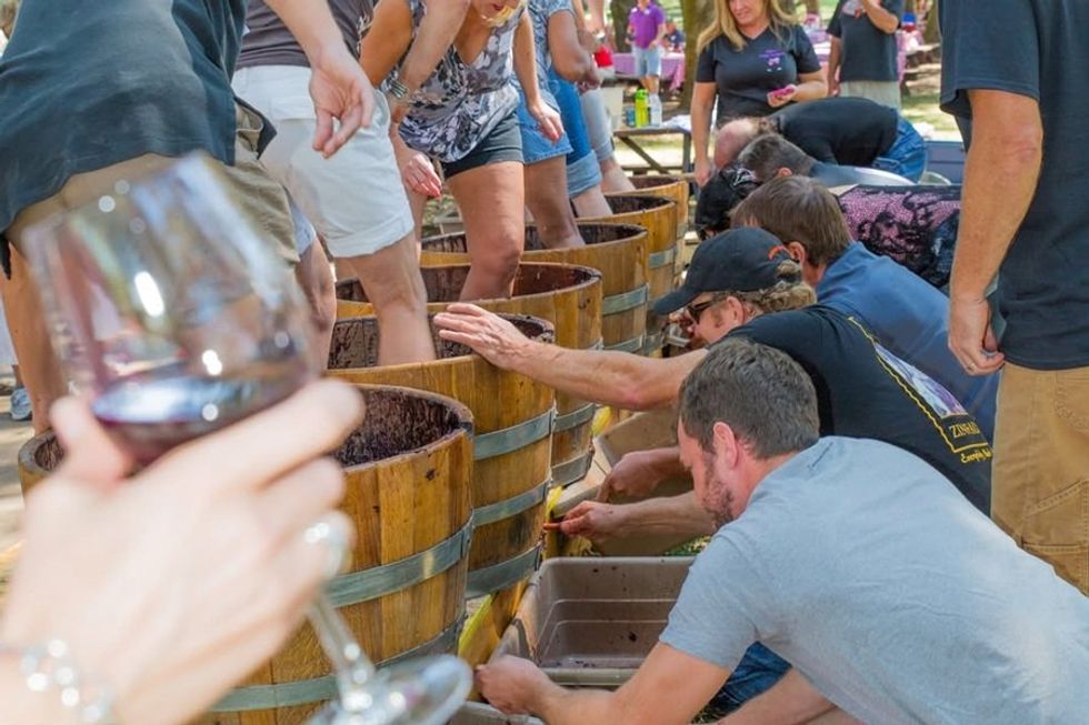 People stomping grapes in barrels at an outdoor event, with a glass of red wine in the foreground.
