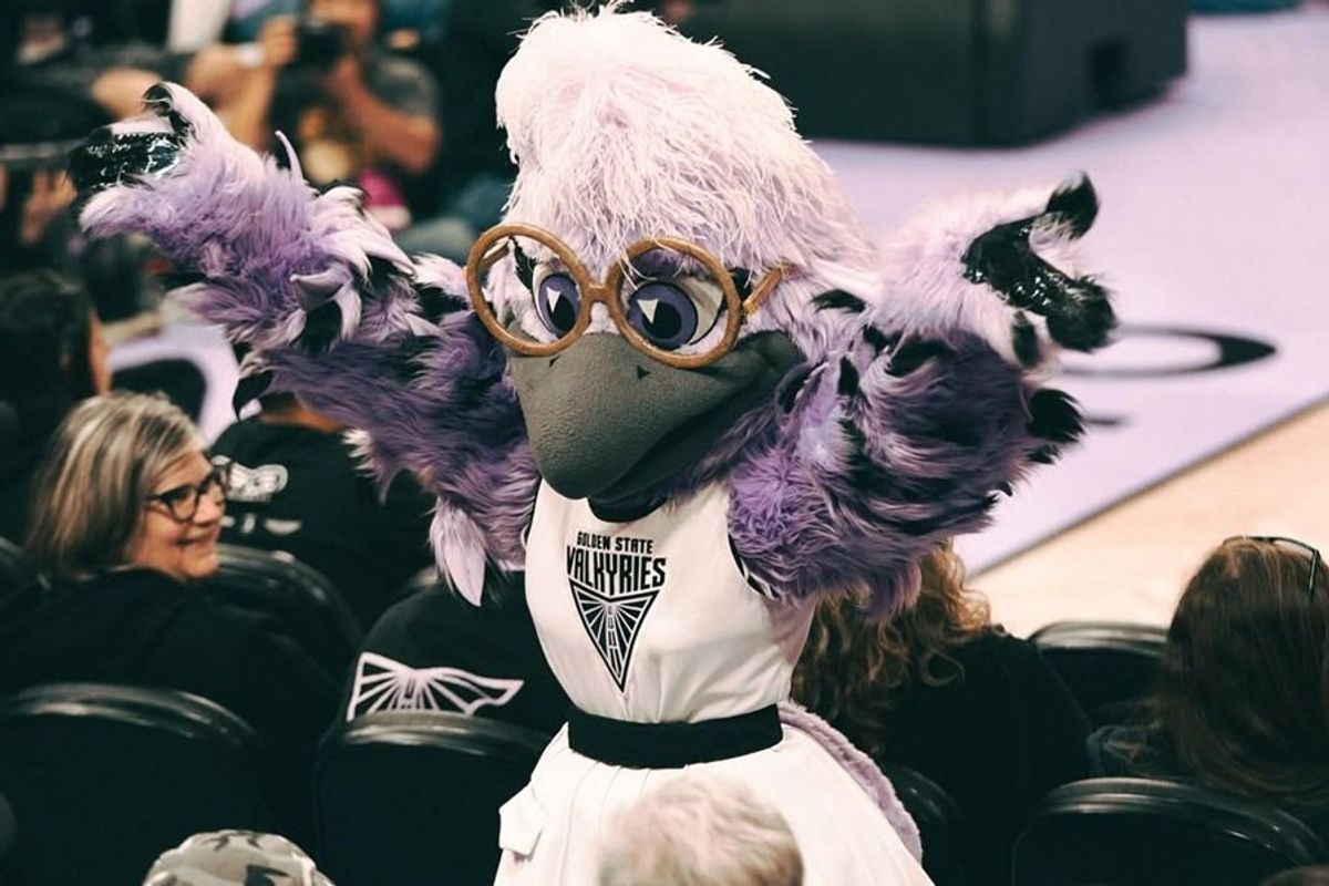 Purple-feathered bird mascot with glasses, cheering at a sports event.
