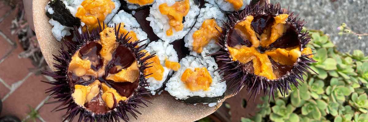 purple sea urchin with their insides exposed and sushi rolls with uni on top