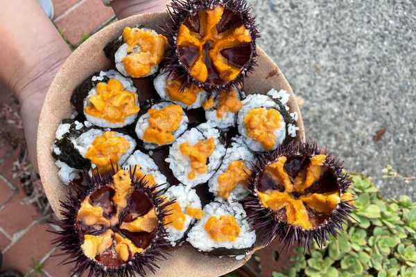 purple sea urchin with their insides exposed and sushi rolls with uni on top