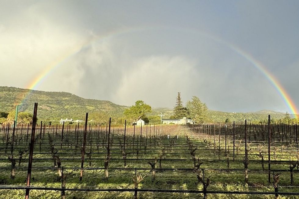 rainbow vineyard napa