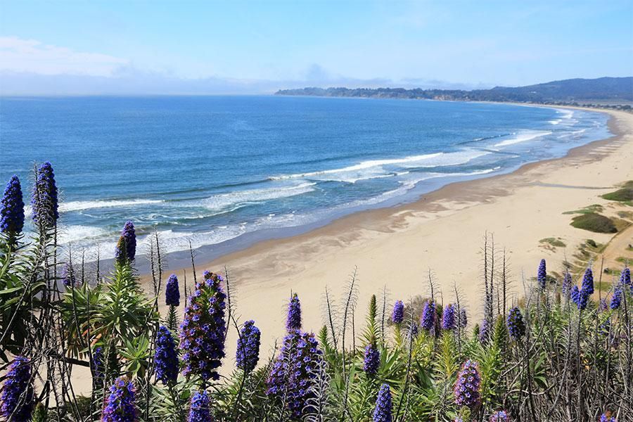 5 Favorite Beaches in Marin County