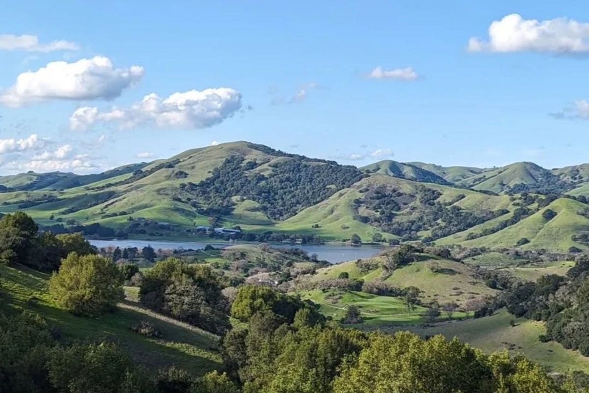 The Bay Area Ridge Trail is iconic. Here's how to hike its most scenic sections.
