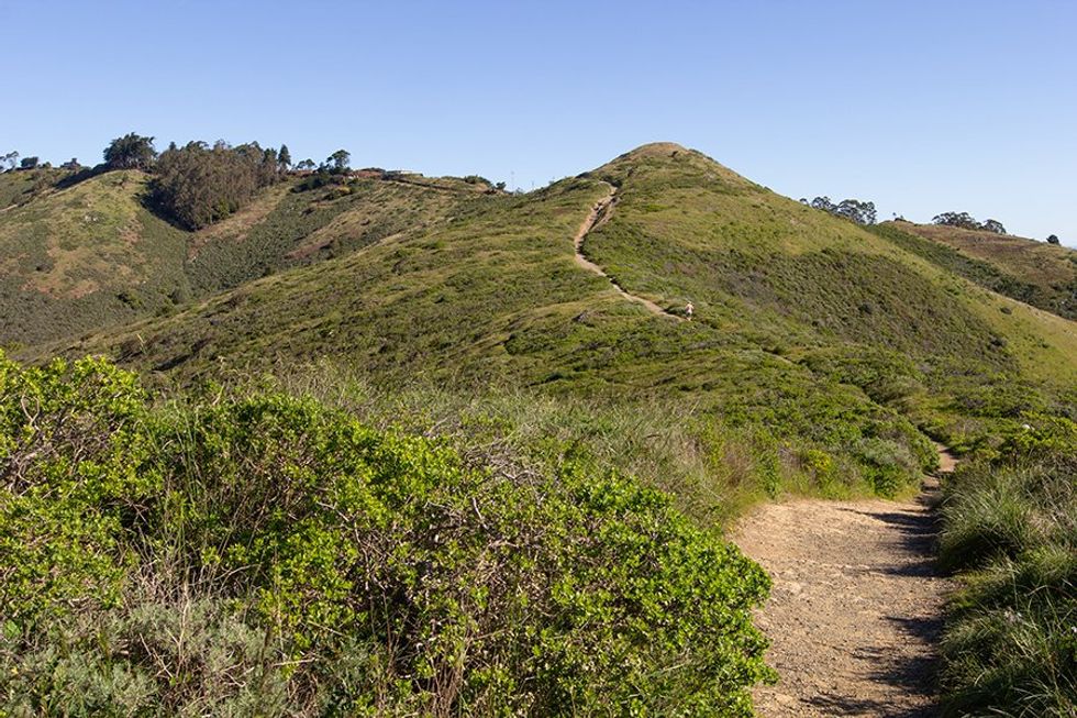 The SCA Trail portion of the Ridge Trail will take you up into the Marin Headlands.
