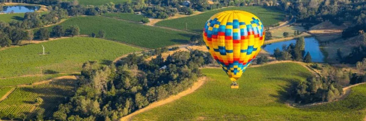 Three colorful hot air balloons float over lush green fields and trees.