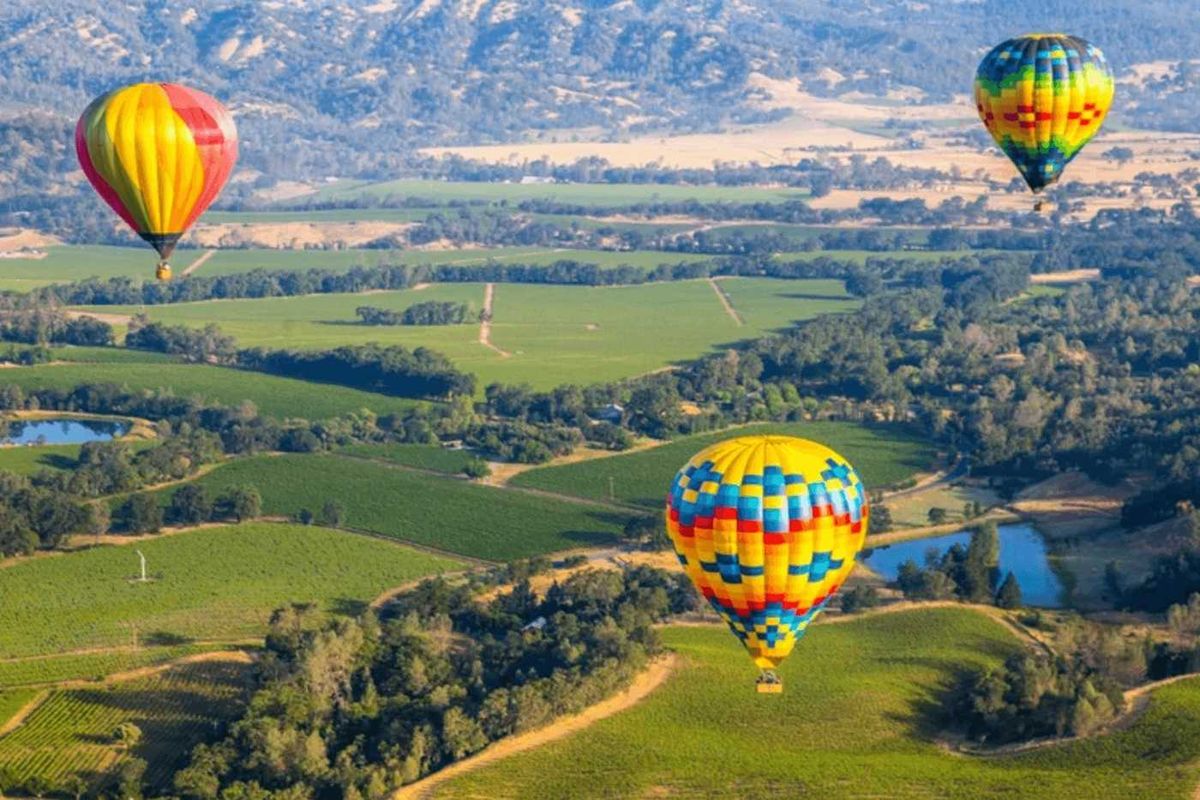 Three colorful hot air balloons float over lush green fields and trees.