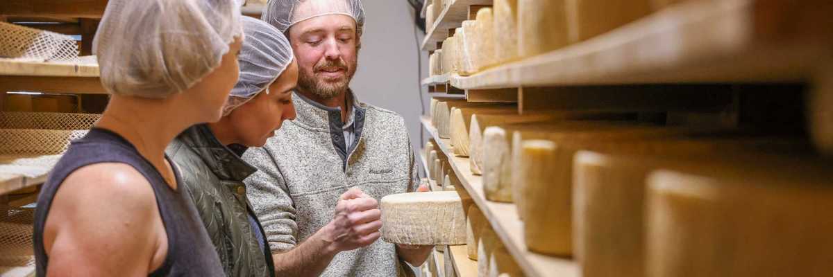 three people in a cheese aging room looking at cheese
