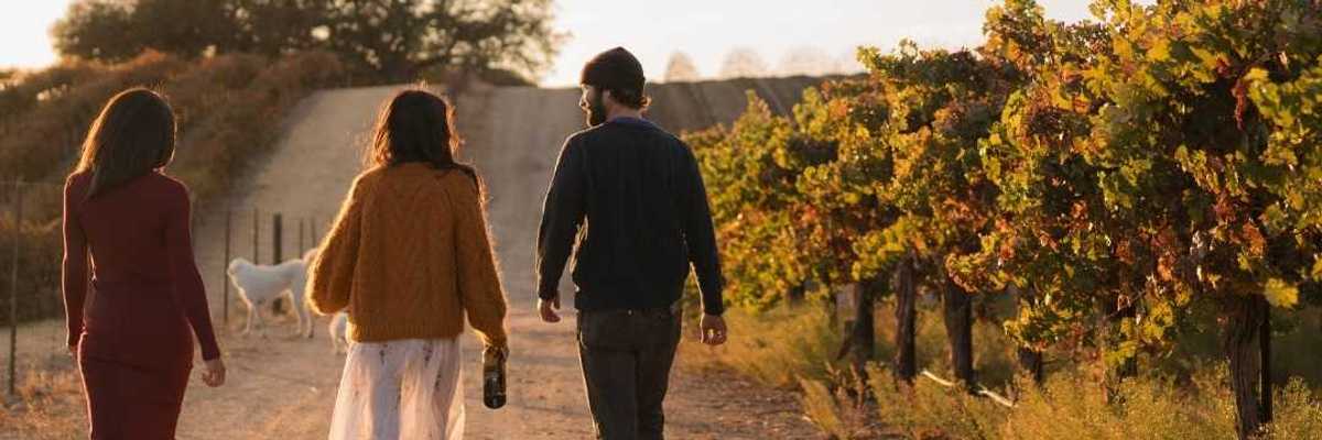 three people walking through a vineyard at the golden hour
