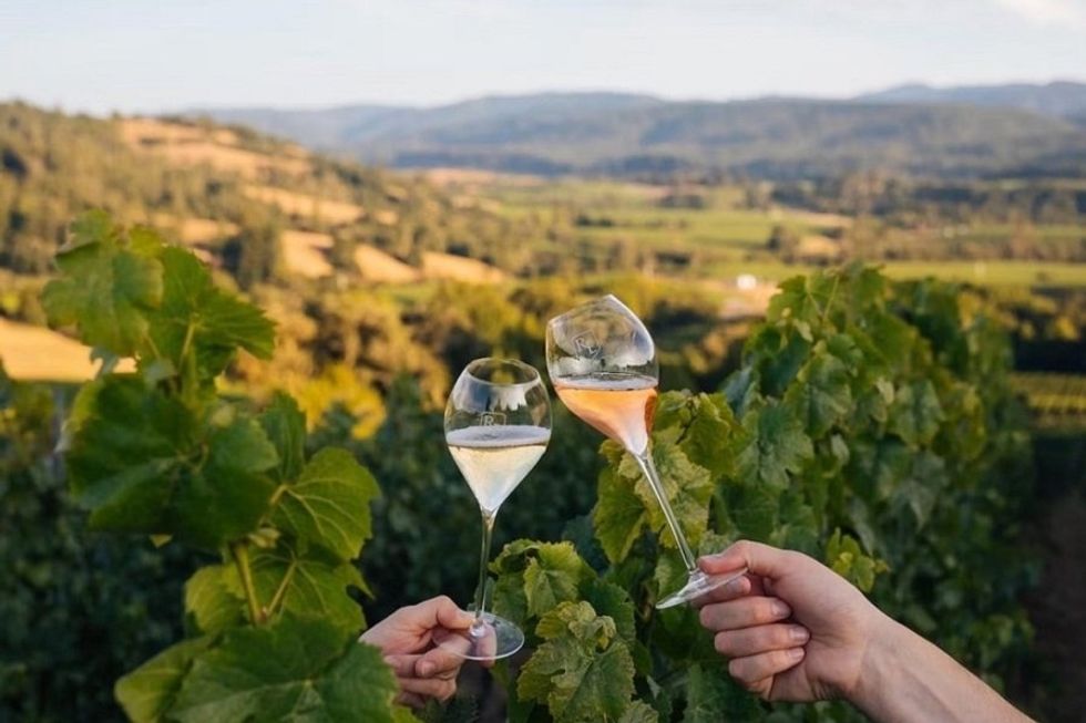 Toasting wine glasses in a vineyard with a scenic landscape background.