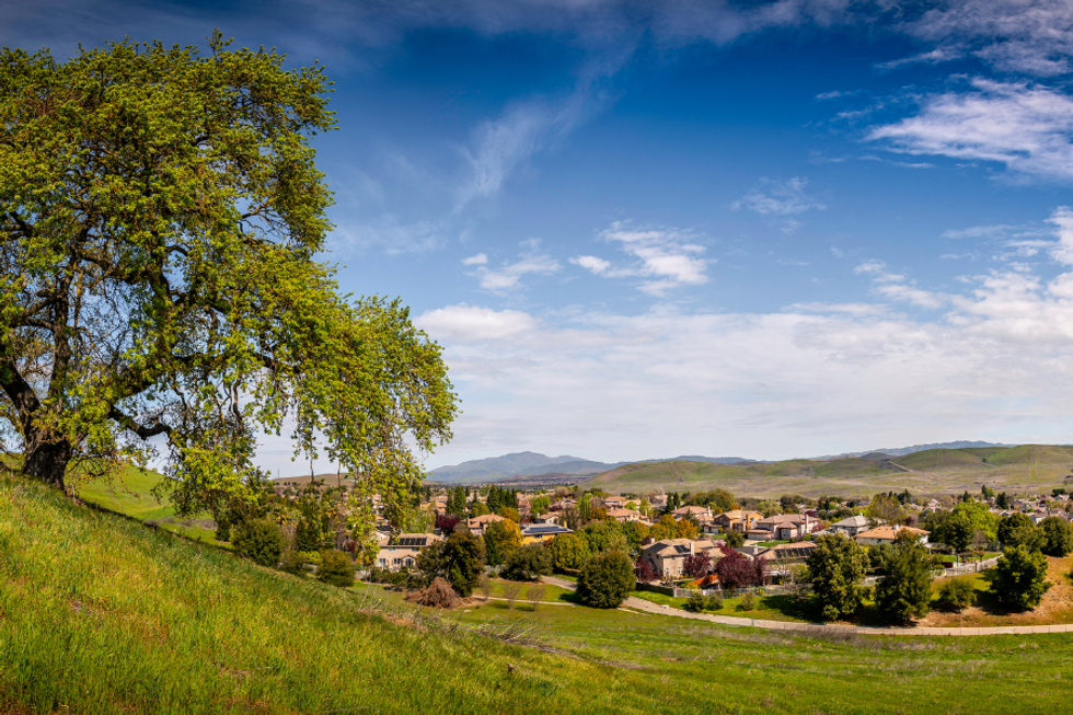 Tree overlooking a scenic village and rolling hills under a blue sky.