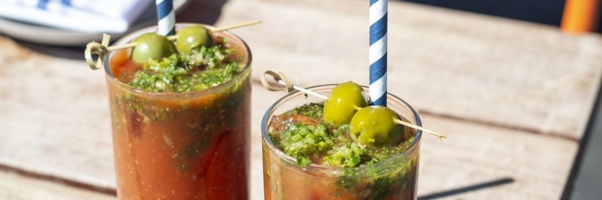 Two Bloody Mary cocktails with olives on a wooden table in the sunlight.