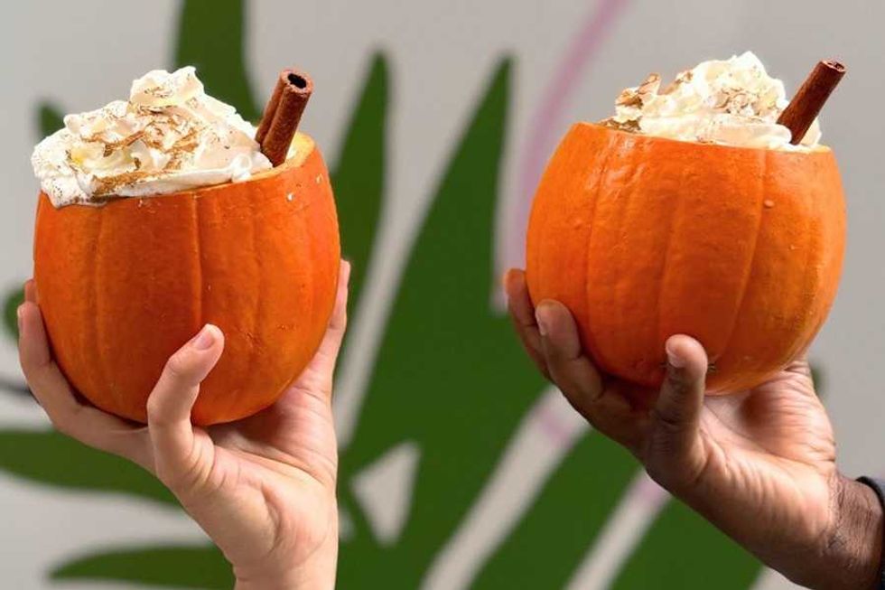 Two hands holding pumpkin drinks with whipped cream and cinnamon sticks.