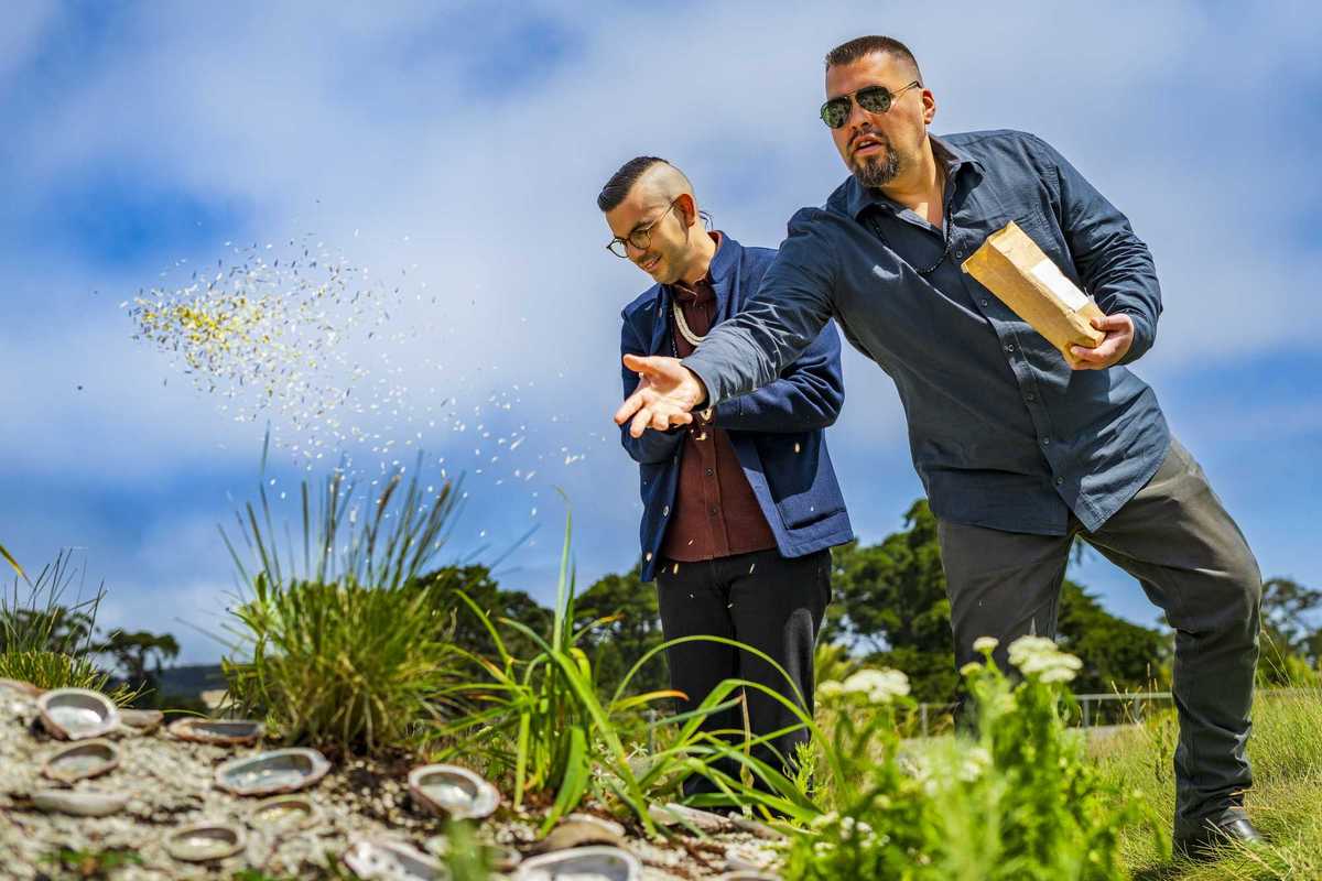 two men with glasses throwing seeds over a mound of shells and plants