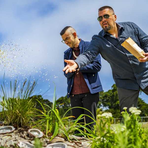 two men with glasses throwing seeds over a mound of shells and plants