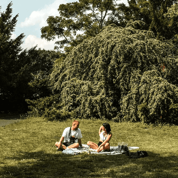 two people sitting on a picnic blanket in the park