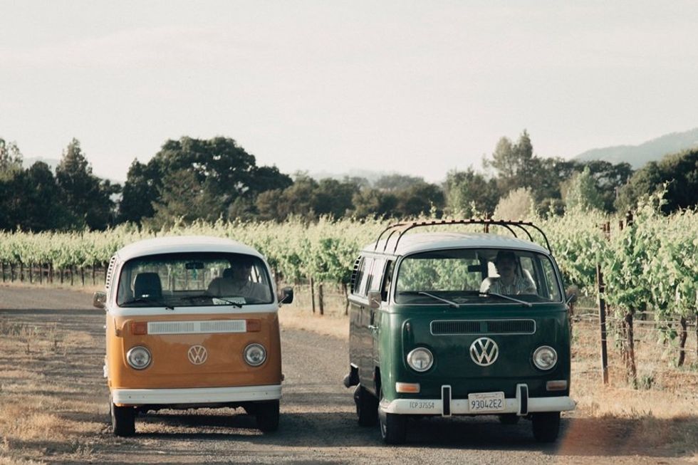 Two vintage VW vans parked on a vineyard dirt road under a clear sky.