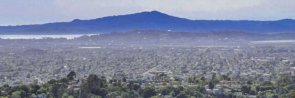 View of the East Bay and Mount Tam from a green park