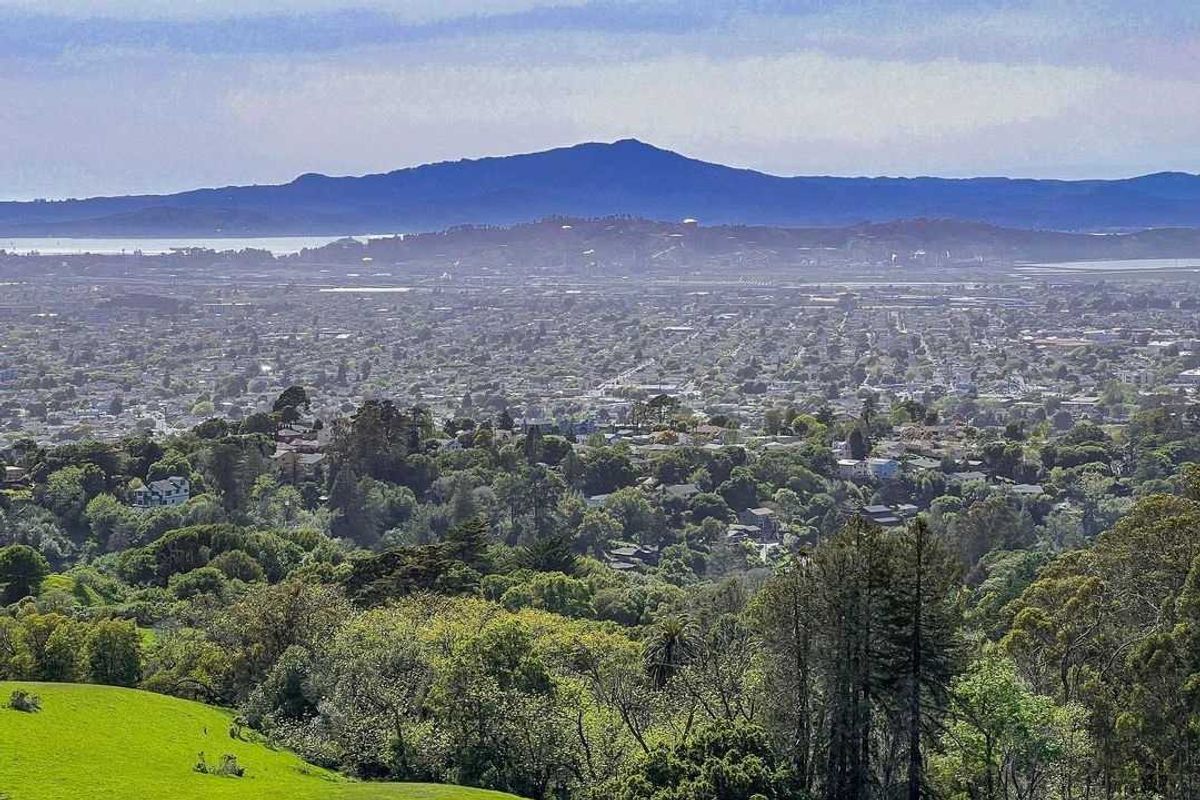 View of the East Bay and Mount Tam from a green park