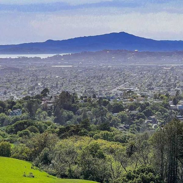 View of the East Bay and Mount Tam from a green park