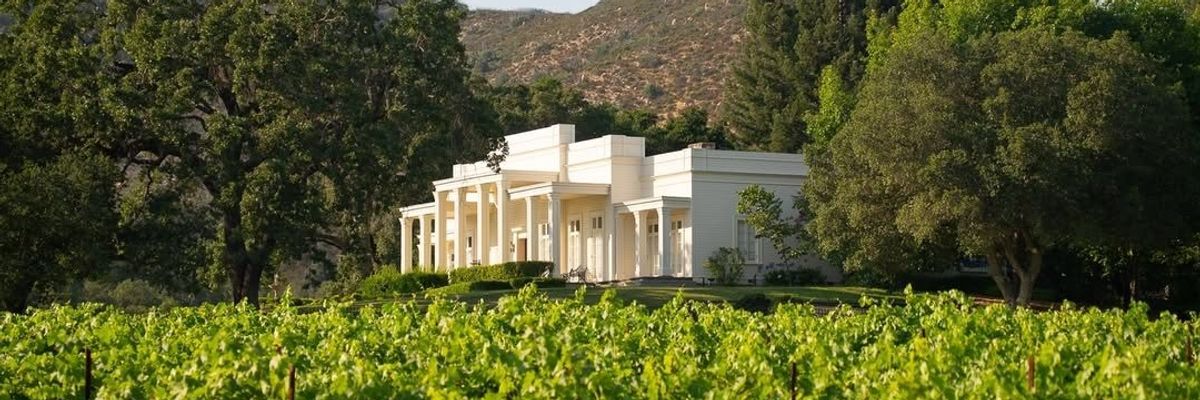 White house surrounded by trees, overlooking a vineyard and hills in the background.
