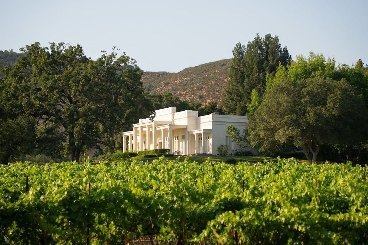White house surrounded by trees, overlooking a vineyard and hills in the background.