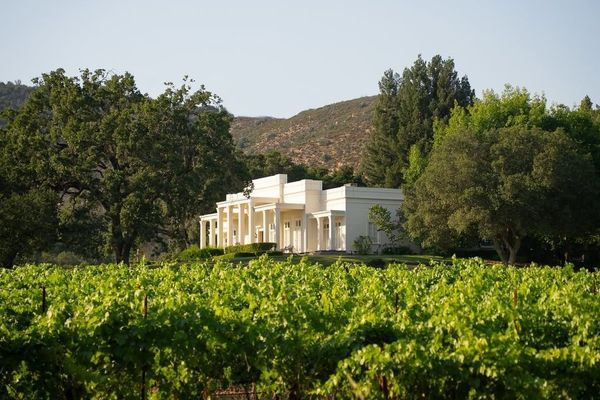 White house surrounded by trees, overlooking a vineyard and hills in the background.