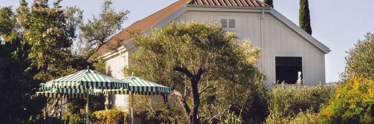 White house with patio umbrellas amidst lush greenery and tall trees.