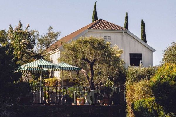 White house with patio umbrellas amidst lush greenery and tall trees.