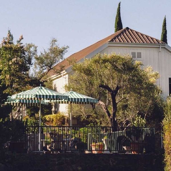 White house with patio umbrellas amidst lush greenery and tall trees.