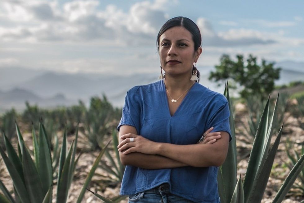 Woman in blue shirt standing in agave field under cloudy sky.