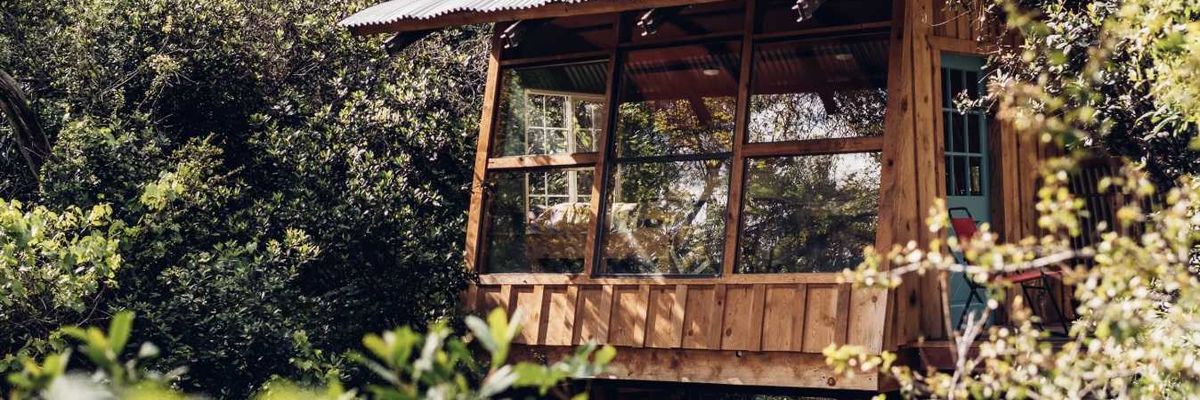 wood cabin with large windows in a forest