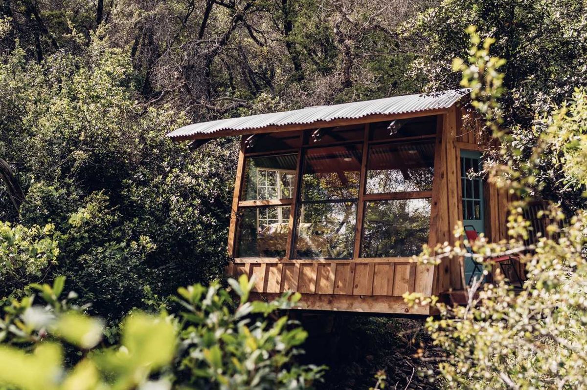 wood cabin with large windows in a forest