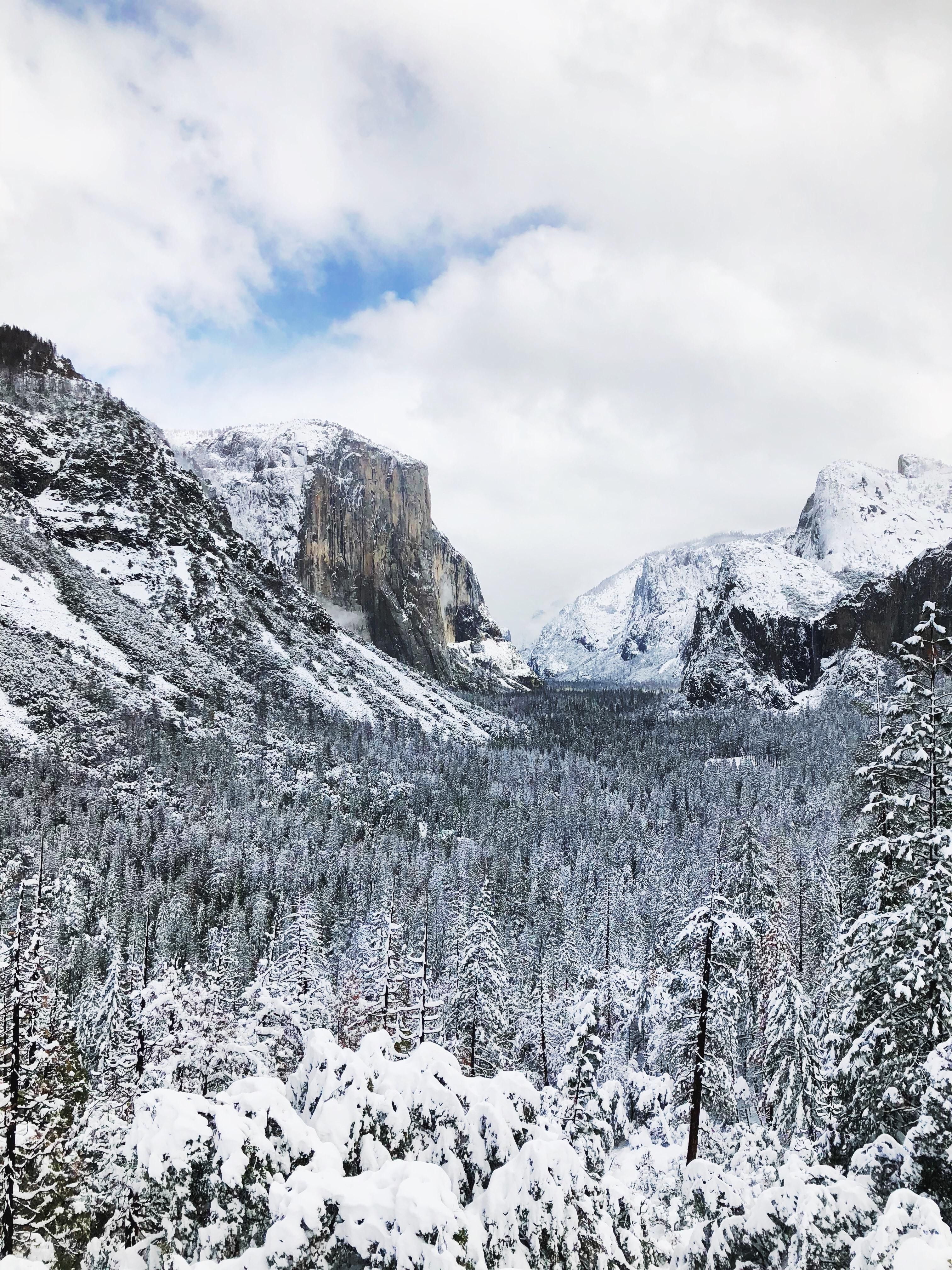Winter Wonderland: How to Plan a Snowcation to Yosemite National Park