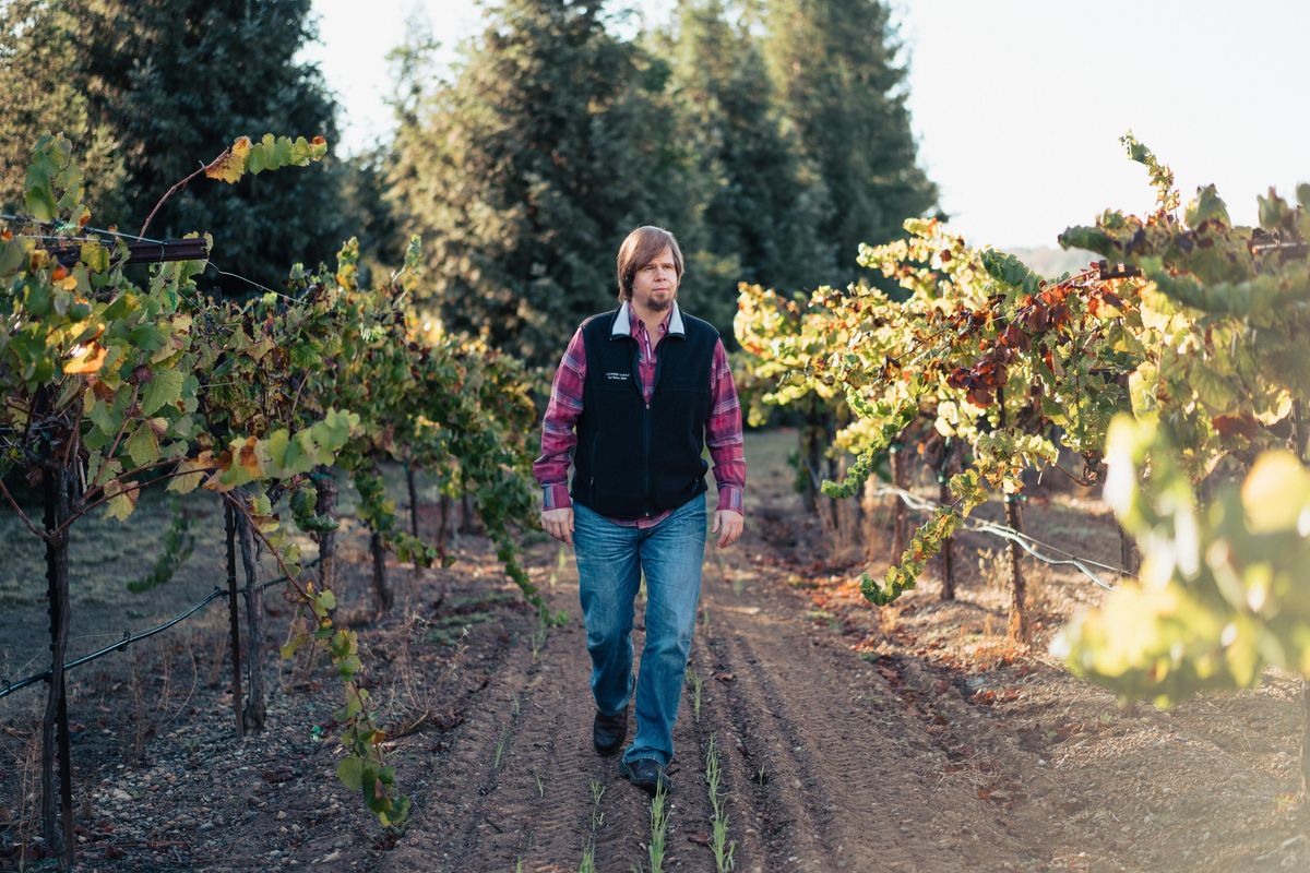 This Sonoma winery wants to pay you $10,000 a month for your dream Wine Country job